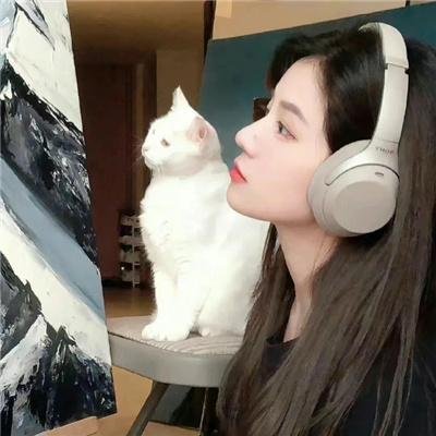 大清王爷爱上我